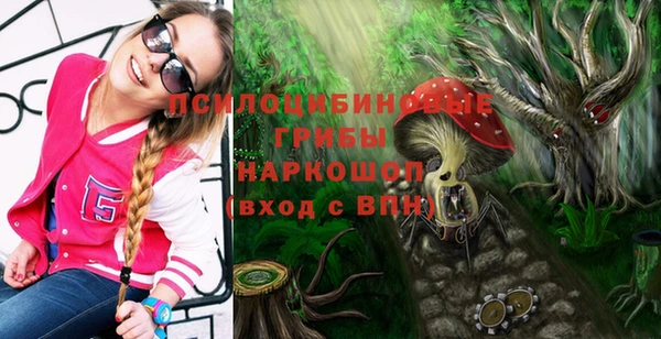 дмт Алзамай