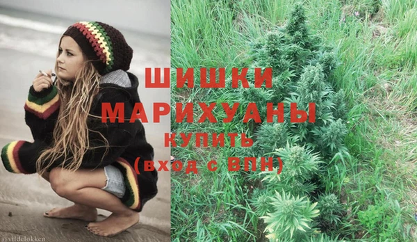 дмт Алзамай