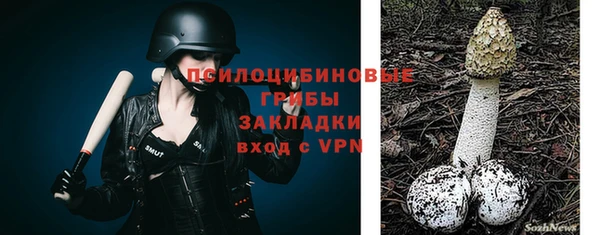 метамфетамин Алексеевка