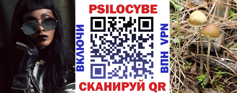 дарнет шоп  Кольчугино  Галлюциногенные грибы мухоморы 