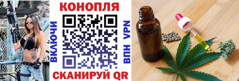 Бошки Шишки планчик  Кольчугино 